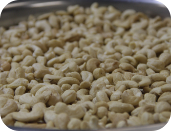 13. GRADE TYPES white-whole-cashew-kernels (1)