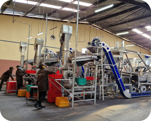 2. ABOUT US Bouaké factory-2 2. ABOUT US Bouaké factory-2