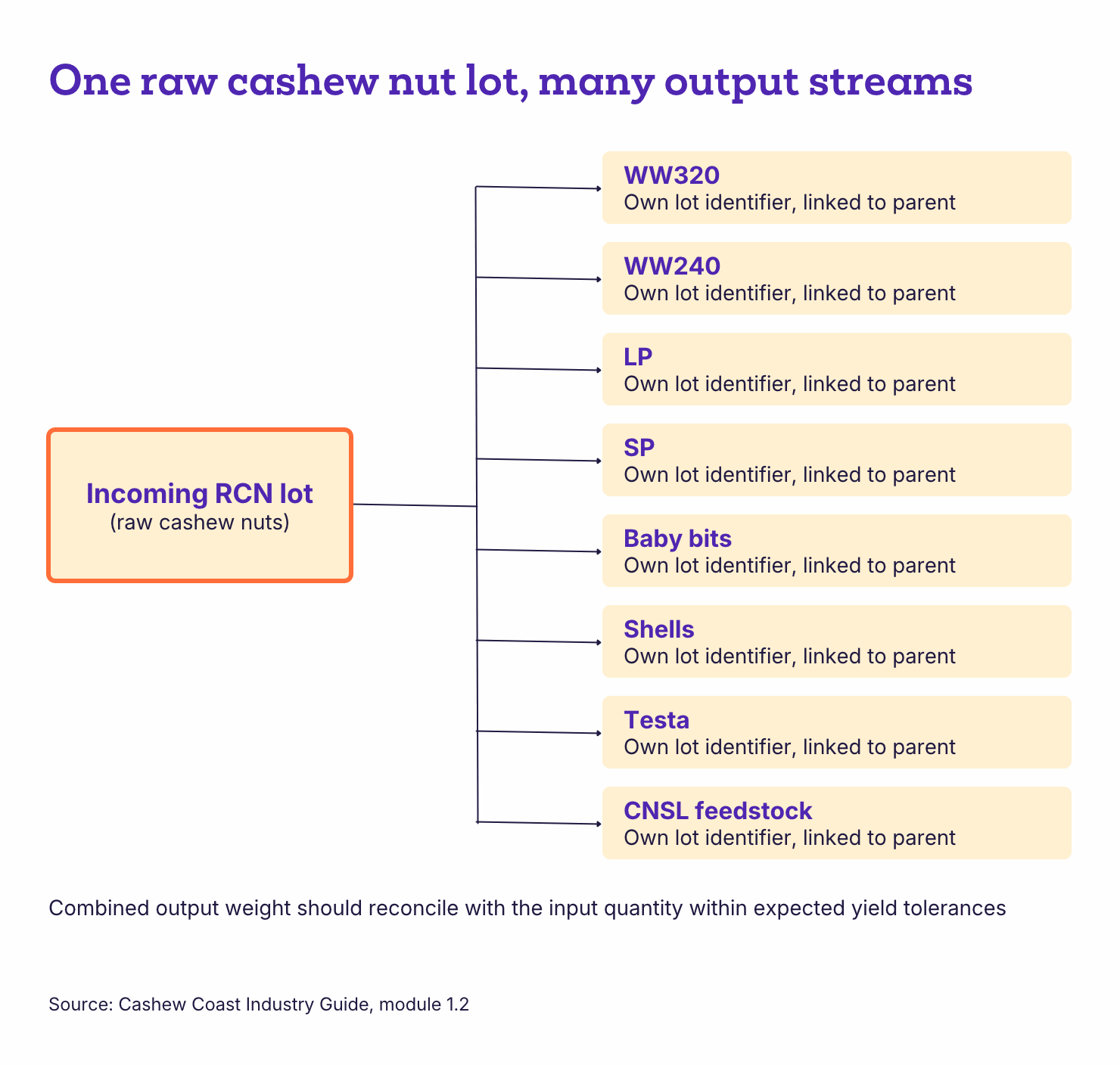 Diagram of one raw cashew nut lot splitting into eight output streams, each with its own lot ID linked to the parent.