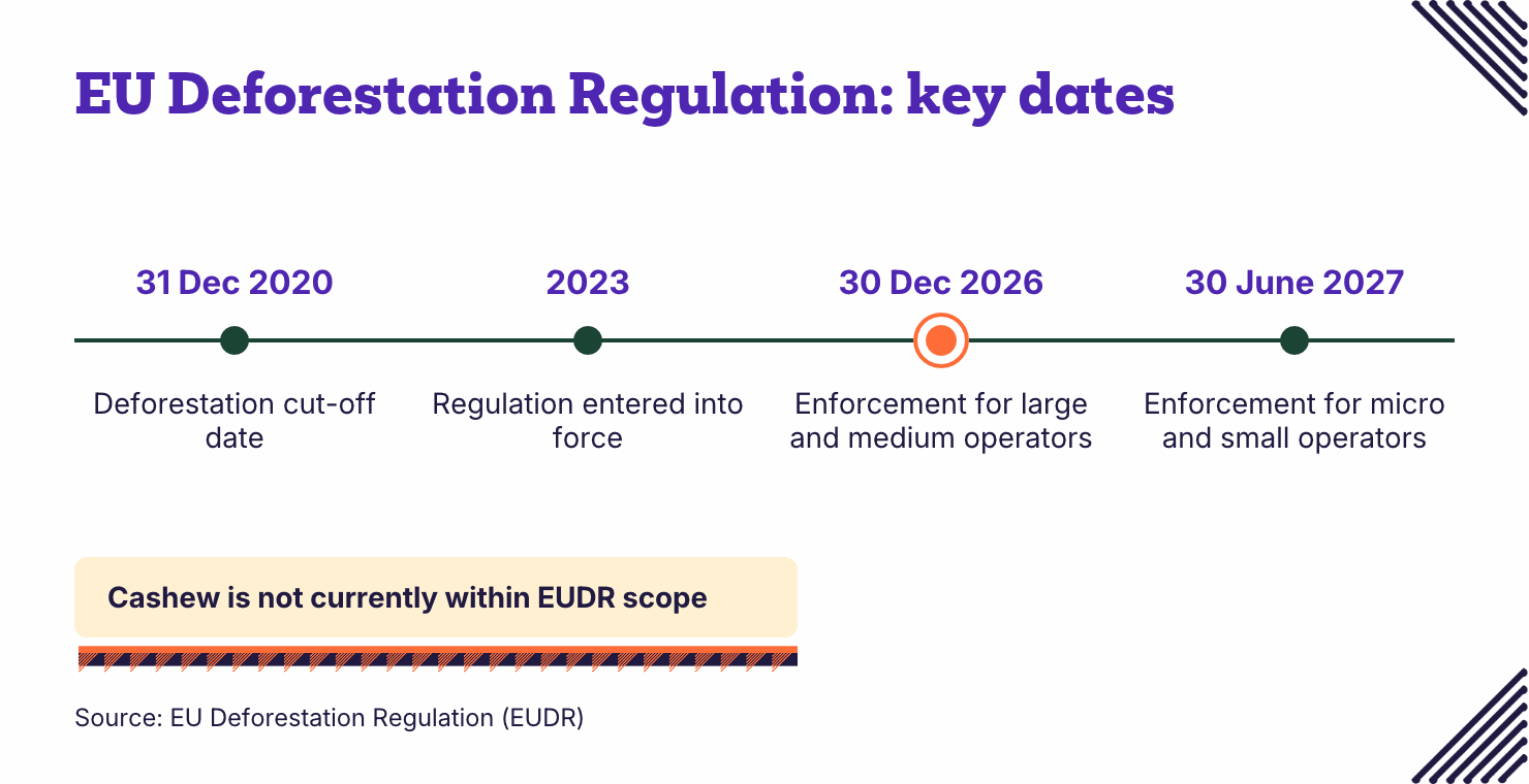 Timeline of EUDR dates: 2020 cut-off, entry into force in 2023, enforcement from December 2026 and June 2027.