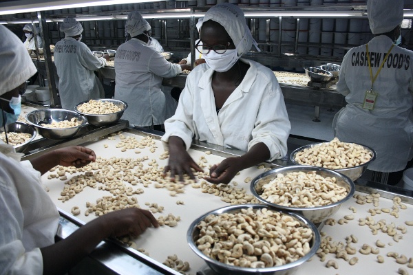woman-white-cashew-factory