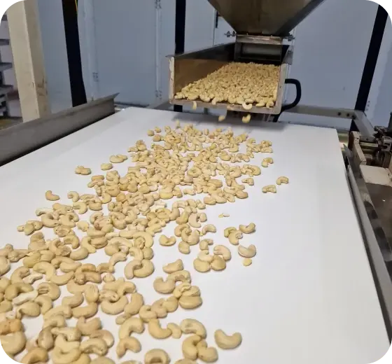 8-cashew-grading-machine