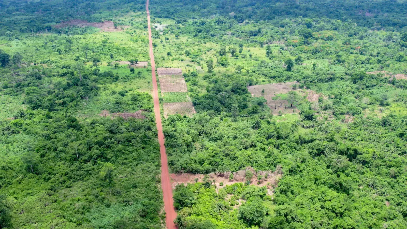 What is sustainability? From Environmental Concept to Business Imperative