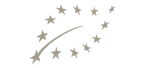 Rectangle 1700
