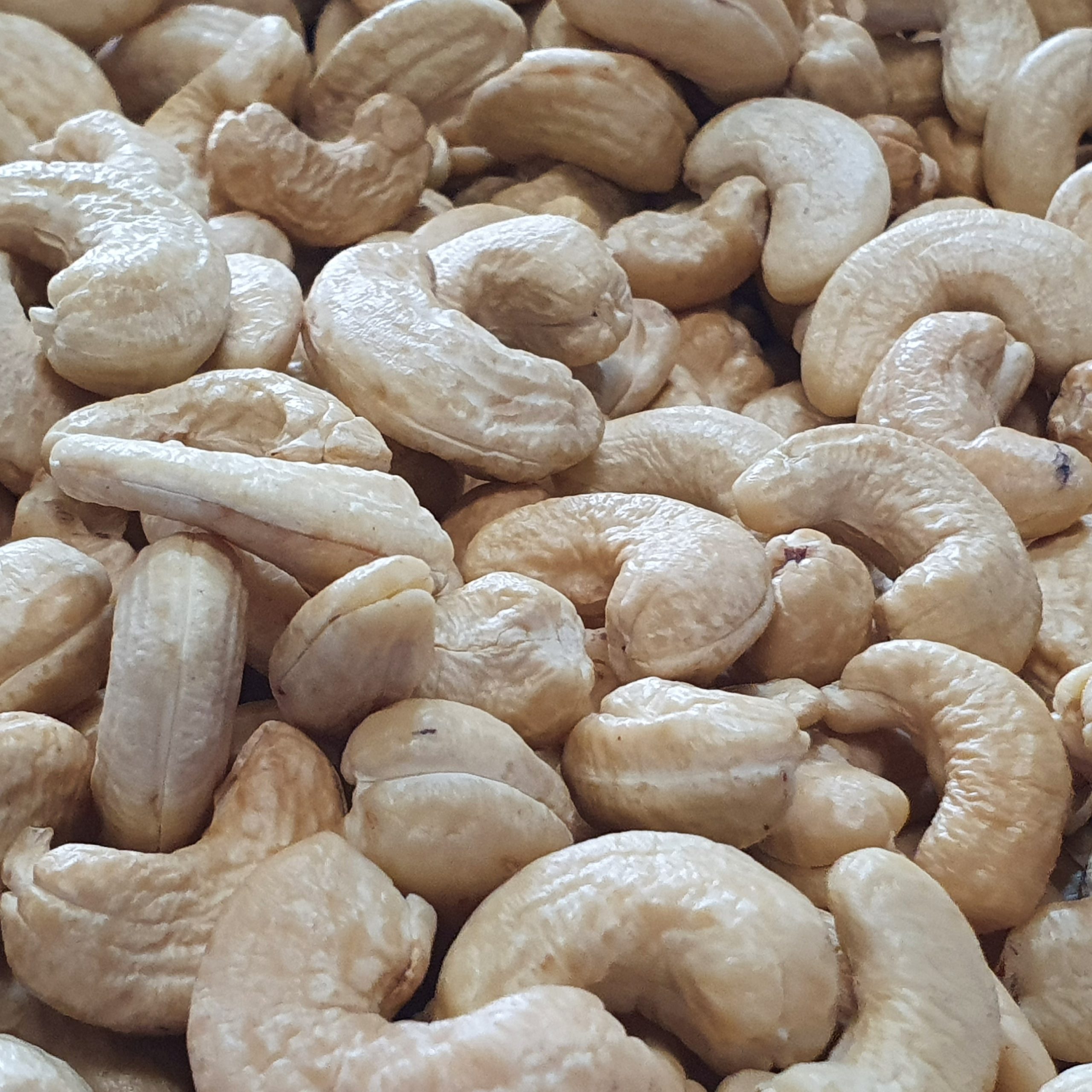 White-whole-cashew-kernels-details-scaled